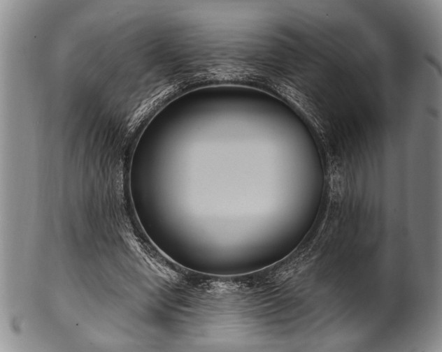 X0000101110442200806261416