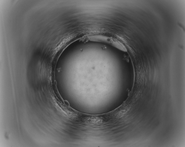 X0000101110443200806261416