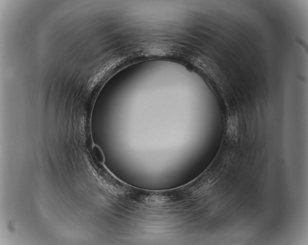 X0000101110444200806261416