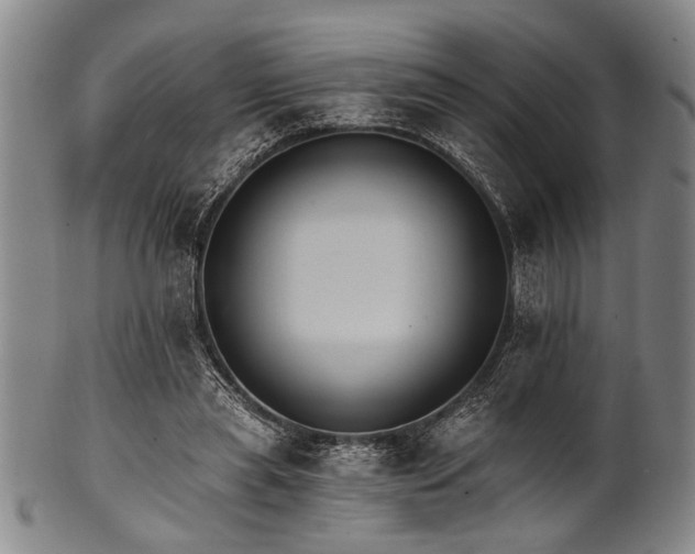 X0000101110445200806261416