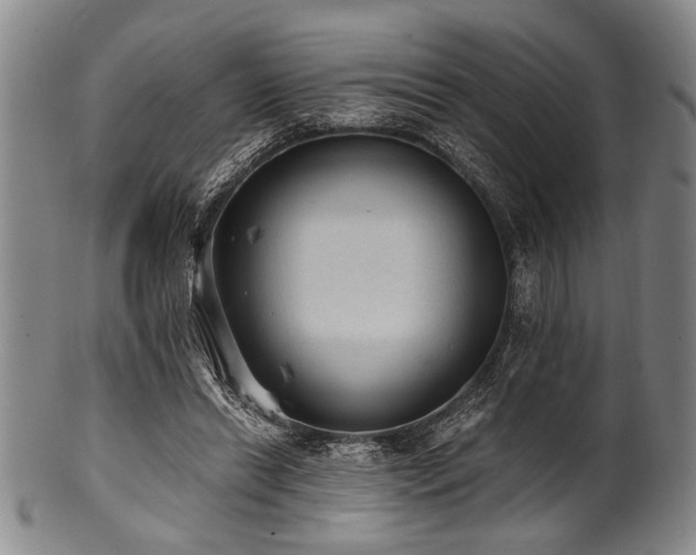 X0000101110446200806261416