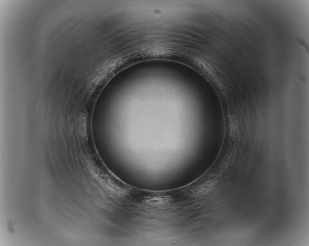 X0000101110447200806261416