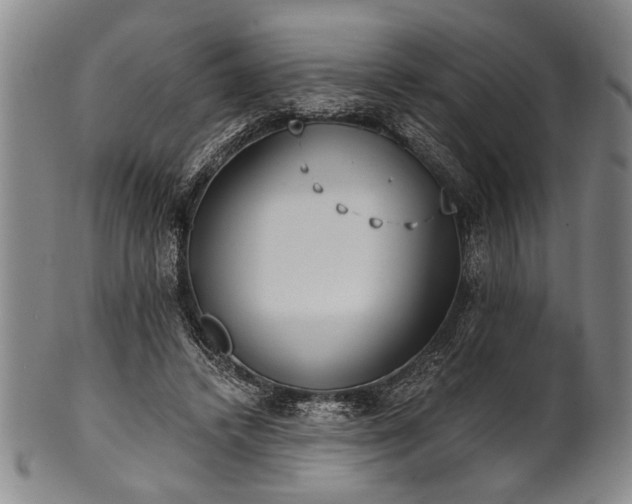 X0000101110448200806261416