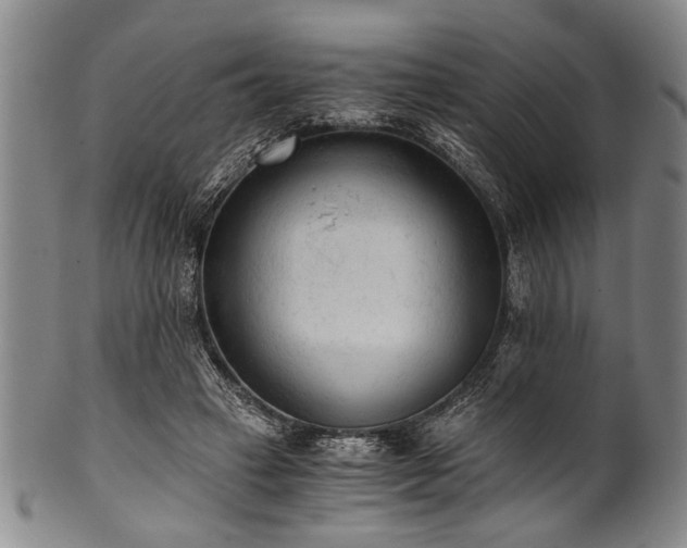 X0000101110449200806261416