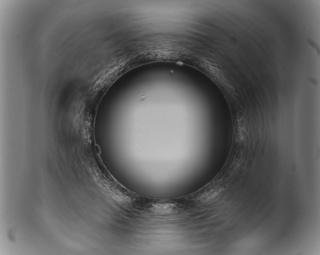 X0000101110450200806261416