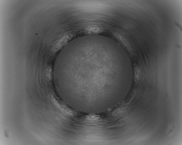 X0000101110451200806261416