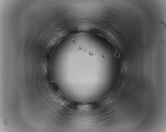 X0000101110452200806261416