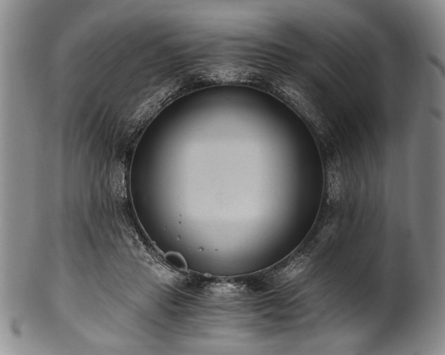 X0000101110453200806261416