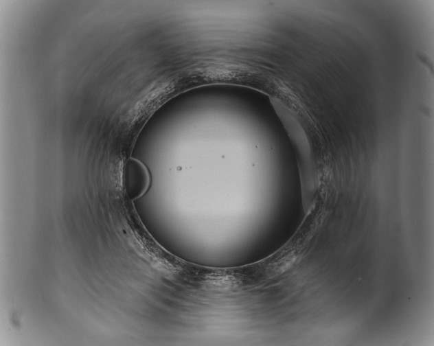 X0000101110454200806261416