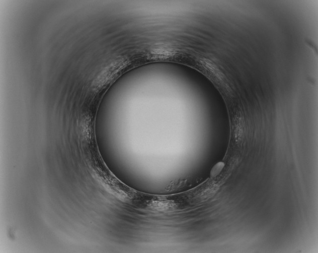 X0000101110455200806261417