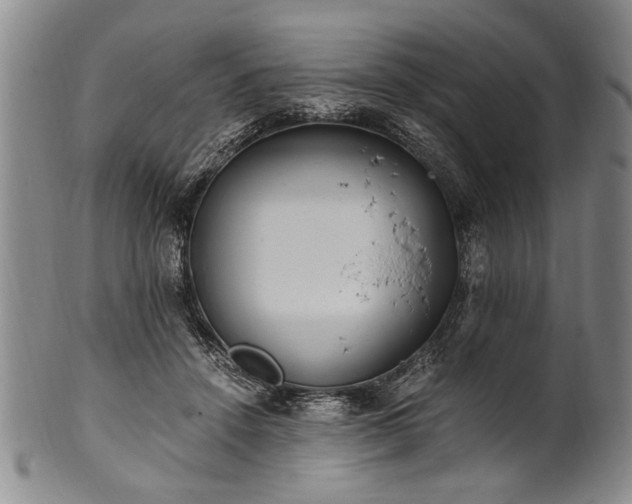 X0000101110456200806261417