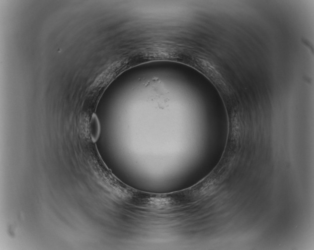 X0000101110457200806261417