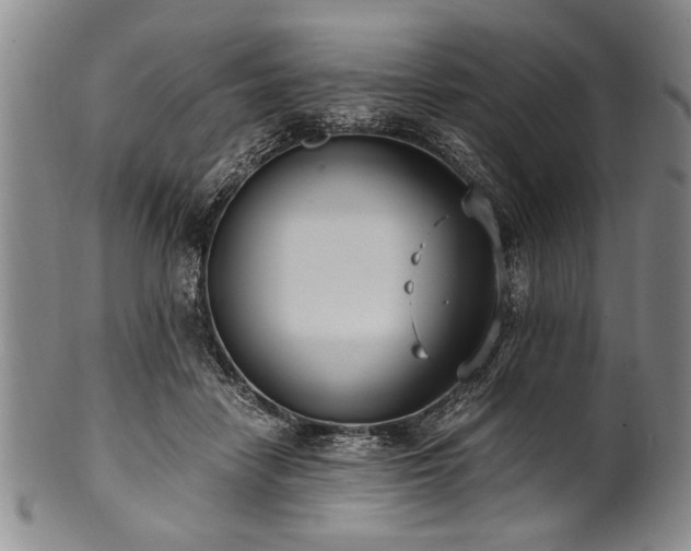 X0000101110458200806261417