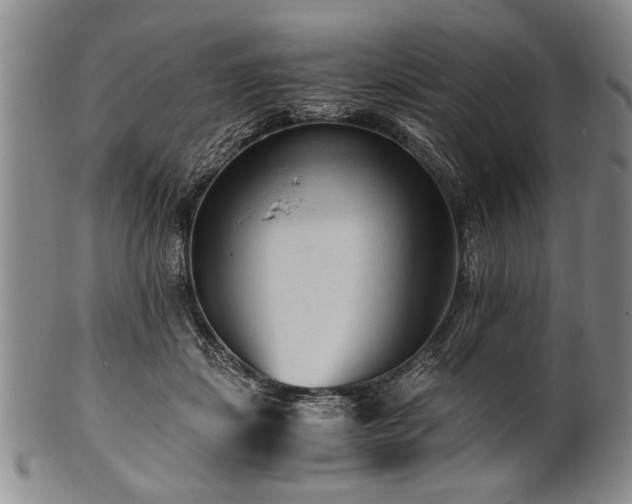 X0000101110459200806261417