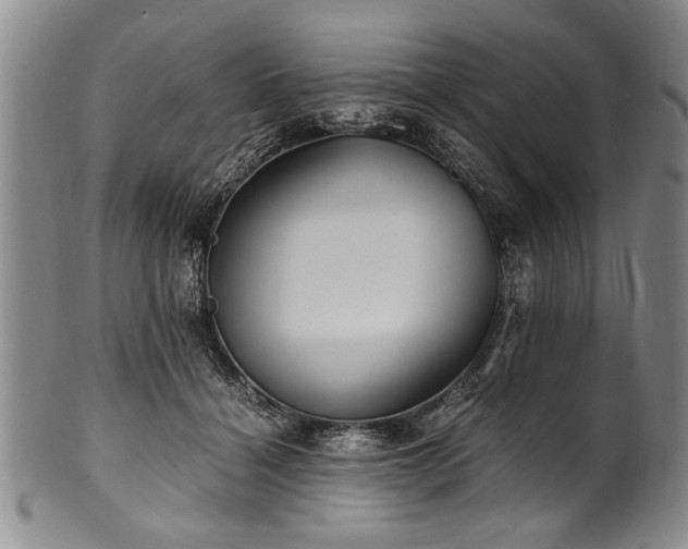 X0000101110460200806261417