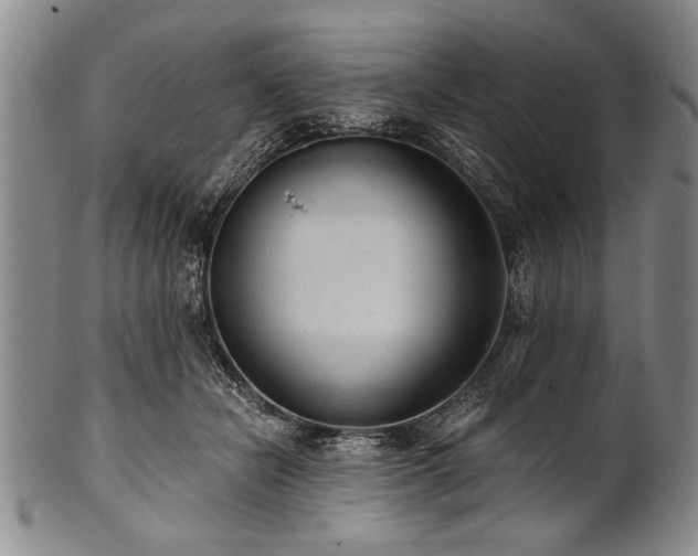 X0000101110462200806261417