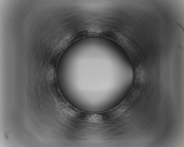 X0000101110463200806261417