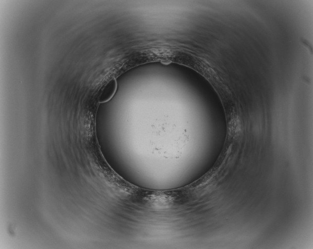X0000101110464200806261417