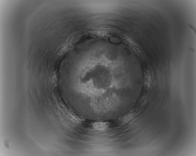 X0000101110465200806261417