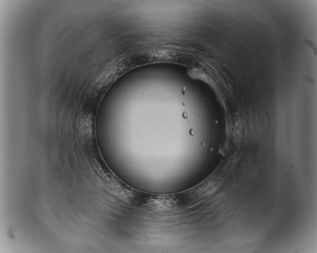 X0000101110466200806261417