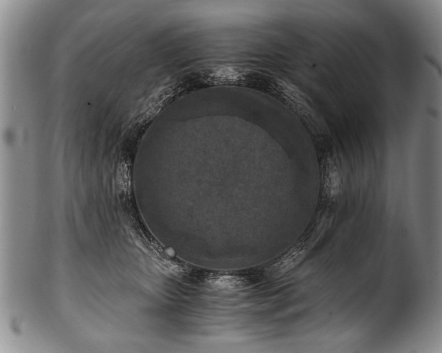 X0000101110467200806261417