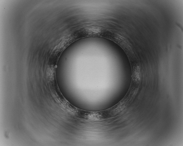 X0000101110468200806261417