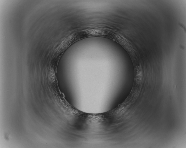 X0000101110469200806261417
