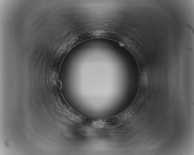 X0000101110470200806261417