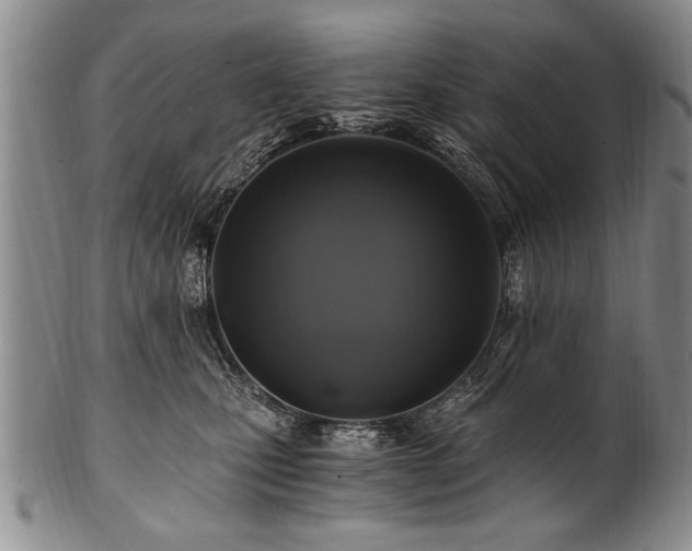 X0000101110471200806261417