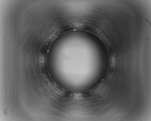 X0000101110472200806261417