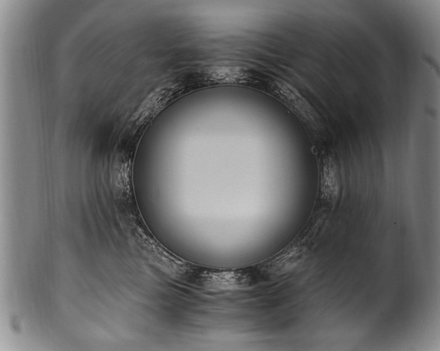 X0000101110473200806261417