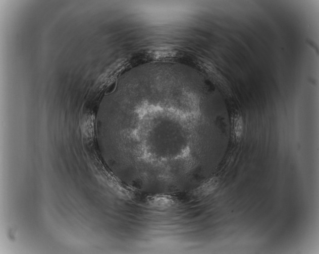 X0000101110475200806261417