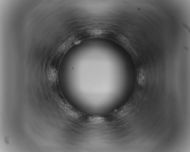 X0000101110476200806261417
