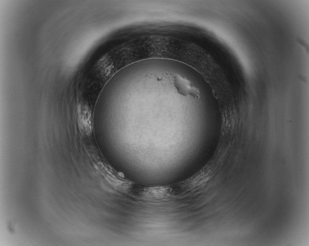 X0000101110479200806261417