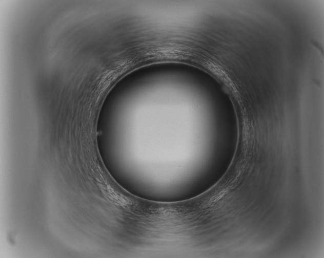 X0000101110481200806261416