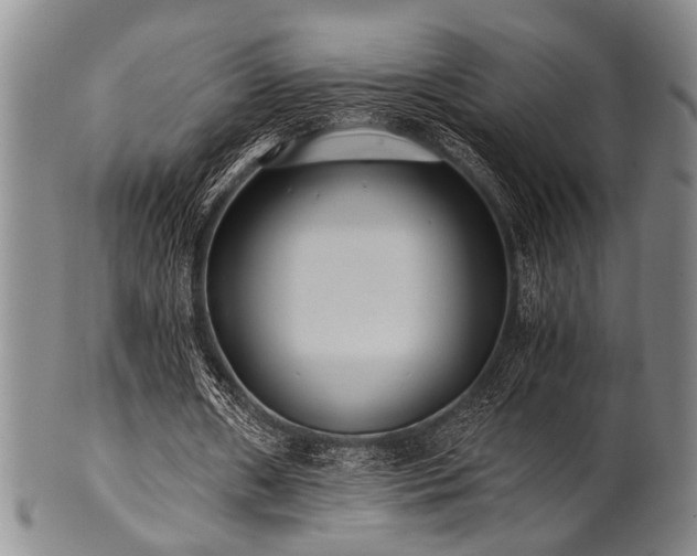 X0000101110482200806261416