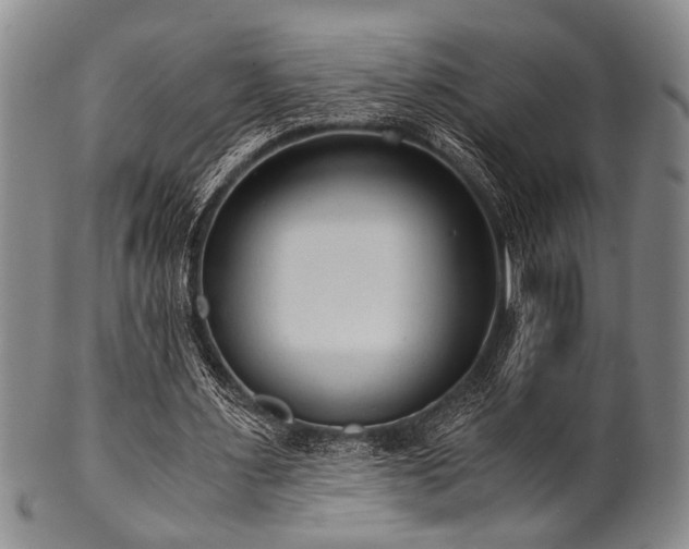 X0000101110483200806261416