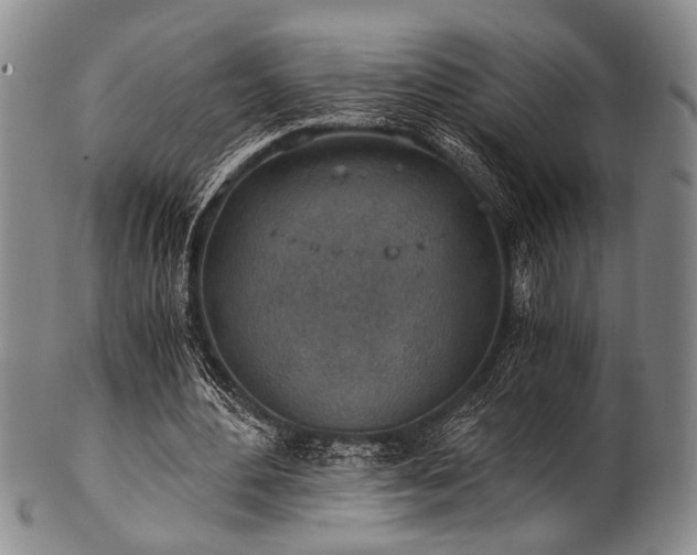 X0000101110484200806261416