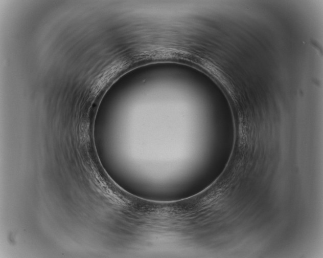 X0000101110485200806261416
