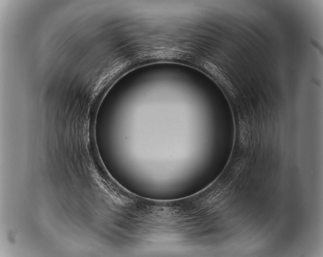X0000101110486200806261416