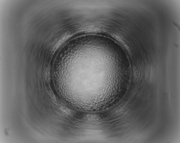 X0000101110487200806261416