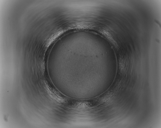 X0000101110488200806261416