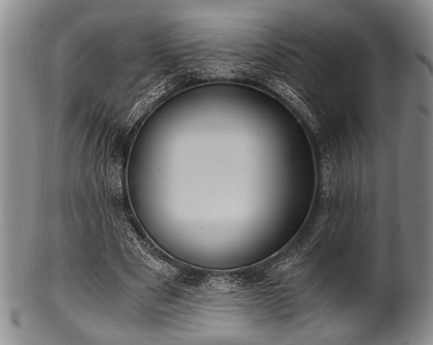 X0000101110489200806261416