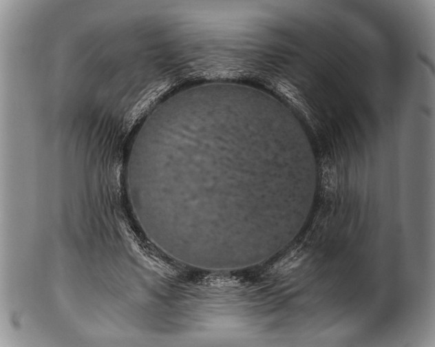 X0000101110491200806261416