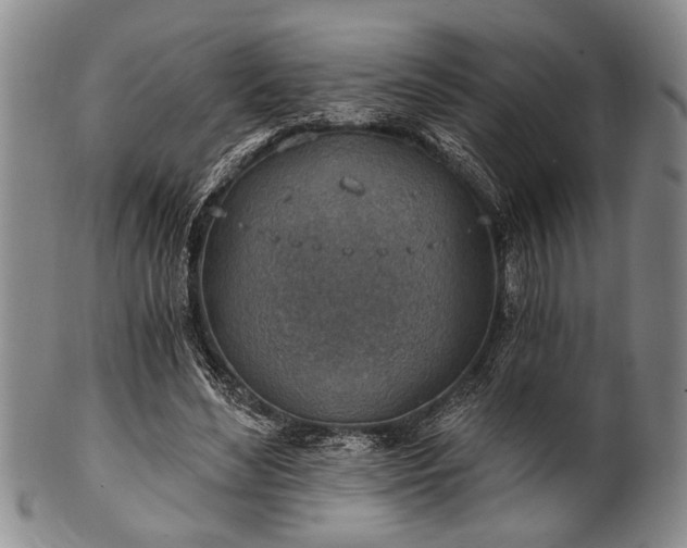 X0000101110492200806261416