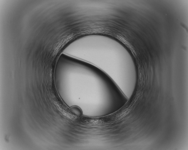X0000101110493200806261416