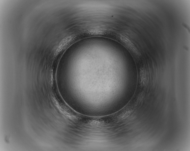 X0000101110494200806261416