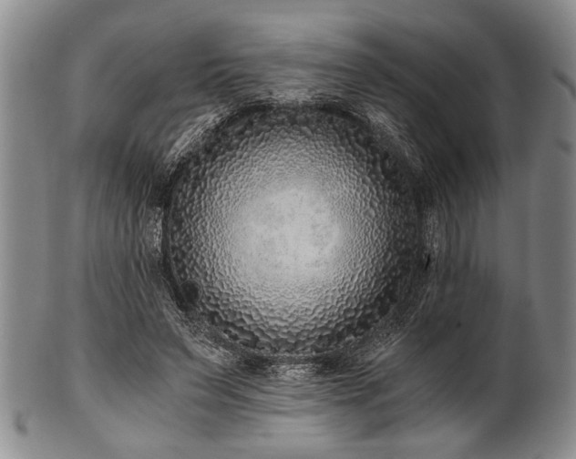 X0000101110495200806261416