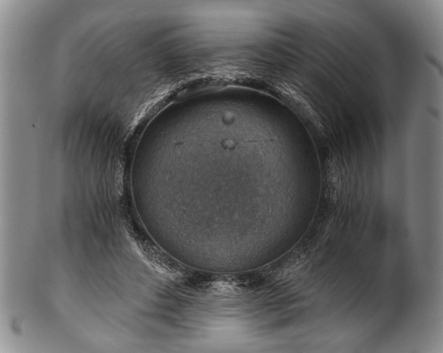 X0000101110496200806261416