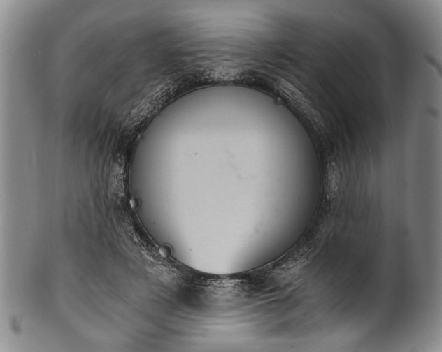 X0000101110497200806261416